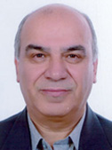 پروفسور محمد محسن 